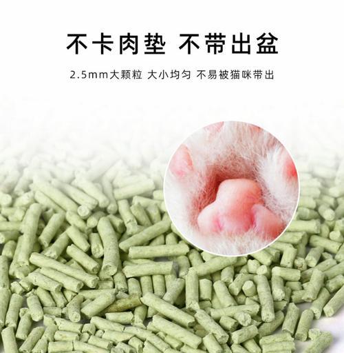 小猫的猫砂使用时机及方法（如何让你的小猫迅速适应猫砂使用）