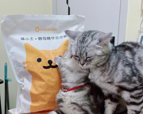 小猫的猫砂使用时机及方法（如何让你的小猫迅速适应猫砂使用）