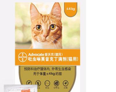 小猫何时打驱虫药（从健康和宠物保护的角度考虑）