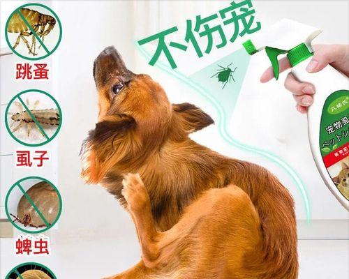 小猫体外驱虫后的注意事项（宠物驱虫）