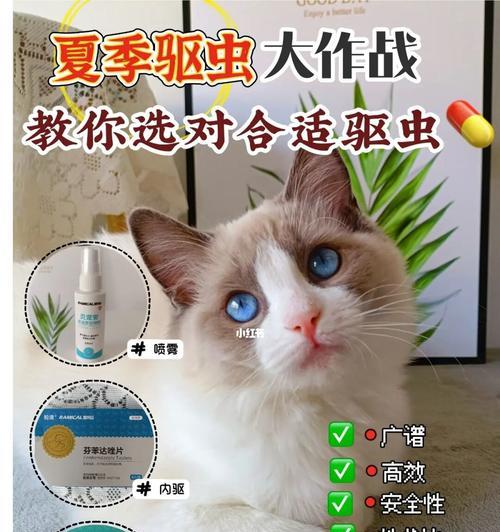 小猫如何正确使用体外驱虫药剂（关注宠物健康）