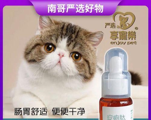 救救我的小猫！肚子出问题了怎么办（宠物的健康问题）