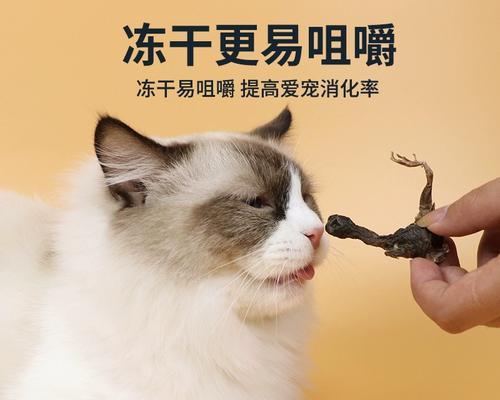 小猫脱水的应对方法（如何为宠物猫补充足够的水分）