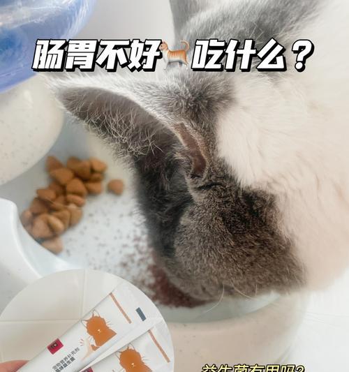 小猫为什么会拉稀（探究宠物小猫拉稀的原因及解决方法）