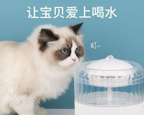 小猫为什么总是狂喝水（探究小猫喝水的原因和解决方案）