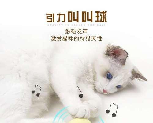 小猫痴迷球类玩具的原因（揭秘宠物猫喜欢玩球的心理）