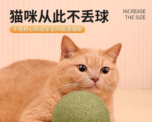 小猫痴迷球类玩具的原因（揭秘宠物猫喜欢玩球的心理）