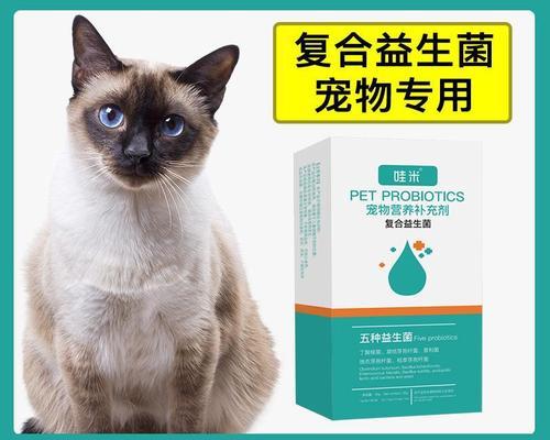 如何帮助宠物小猫缓解胃不适（探究小猫胃不适的原因及治疗方法）