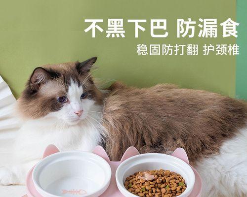 小猫喜欢咬自己，这是为什么（探究宠物猫咪喜欢自我咬的原因和解决方法）