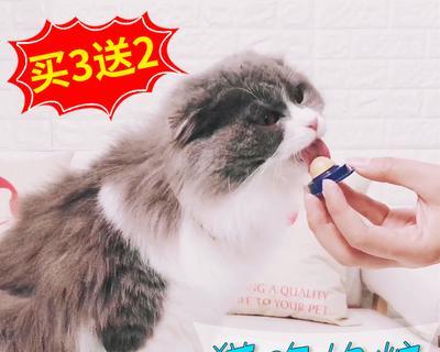 如何给虚弱的小猫补充能量（小猫缺少能量）