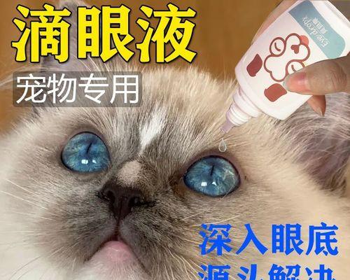 如何正确清洗小猫眼部（宠物护理必备技能）