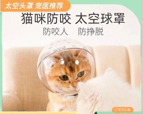 小猫咬人，还要打针（宠物养护中的常见问题与解决方法）