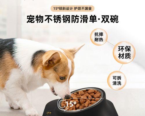 宠物猫一天需要摄入多少猫粮（探讨猫咪饮食量与健康的关系）