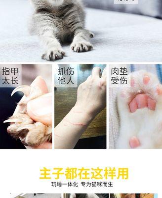 小猫挠脑袋，为什么（揭开宠物挠痒背后的真相）