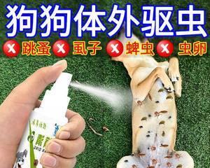 小猫打虫药的正确用法（宠物健康的必要措施）