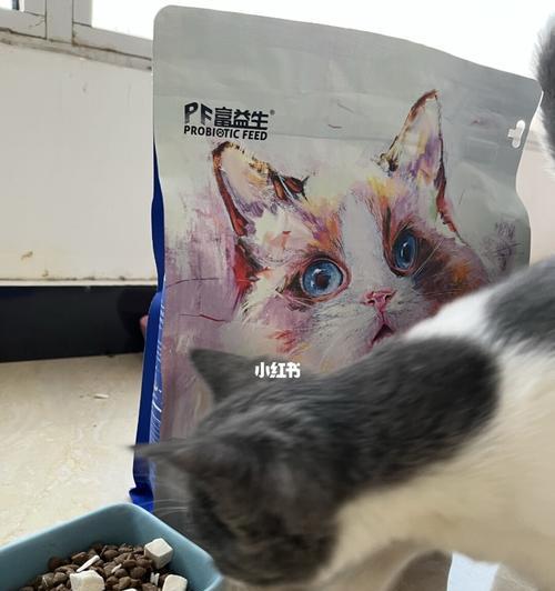 如何判断宠物猫的软便程度？