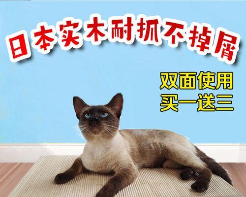 宠物小猫爪子肿了流脓，该如何处理（如何对待宠物的创伤）