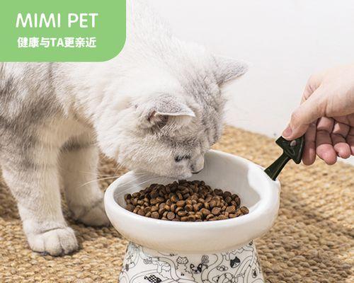 宠物小猫爪子肿了流脓，该如何处理（如何对待宠物的创伤）