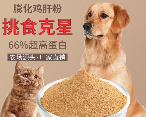 小猫咪的饮食——能否喂鸡肝（宠物猫咪的营养需求及食物选择）