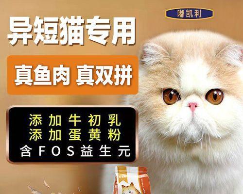 小猫咪呕吐猫粮的原因及处理方法（宠物健康需谨慎）