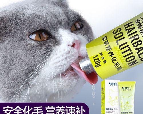 宠物小猫咪吐了怎么办（掌握正确处理方法让宠物安心健康）