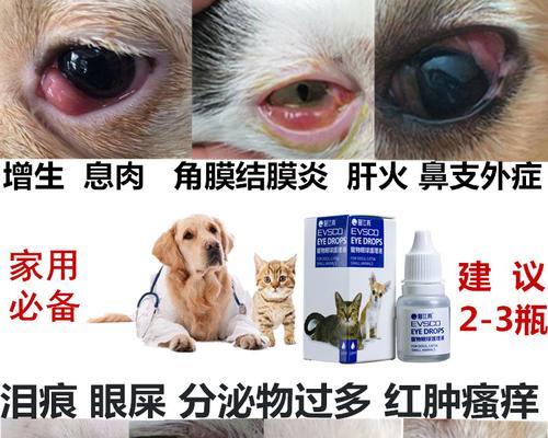 揭秘狗眼息肉——宠物主人必读（了解狗眼息肉的成因）