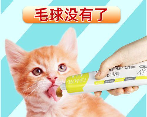 怀孕猫咪呕吐应对方法（了解原因）