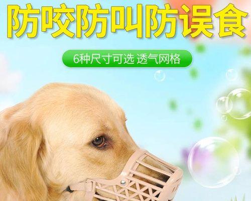 金毛犬怀孕期间应该注意的药品禁忌（宠物爱好者必看）