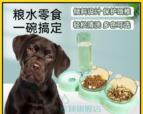 拉布拉多犬吐怎么回事（拉布拉多犬吐的症状、原因、治疗方法详解）