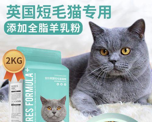 如何给两个月半的小猫喂猫粮（掌握小猫成长所需的营养）