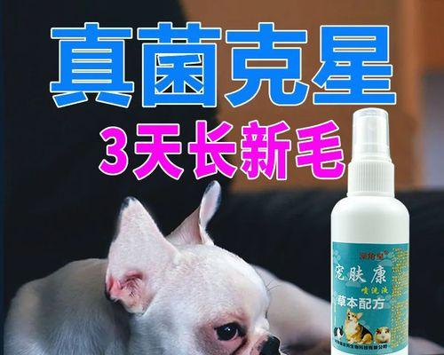 宠物猫脖子起癣如何治疗（掌握这些方法）