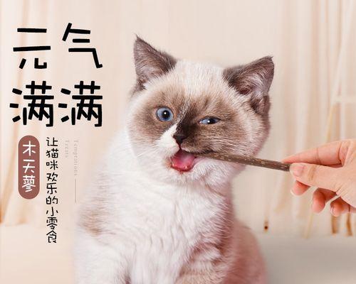 猫木天蓼对宠物的影响（如何避免宠物吃多猫木天蓼）