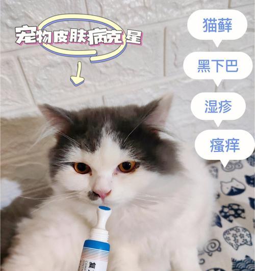 猫皮肤病掉毛的药物治疗（宠物养护系列——治疗猫皮肤病掉毛的药物推荐）