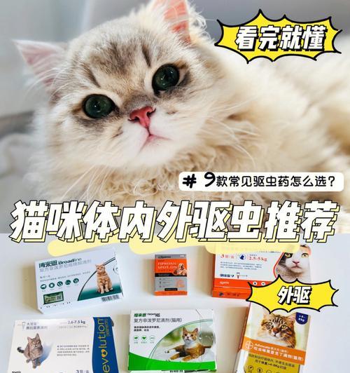 以猫驱虫，关爱宠物健康（宠物健康从驱虫开始）