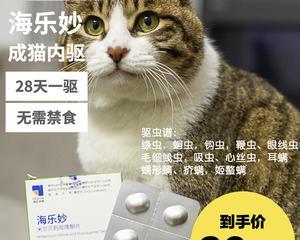 选择哪个牌子的猫体外驱虫药物最好（探究不同品牌的猫体外驱虫药物的优缺点）