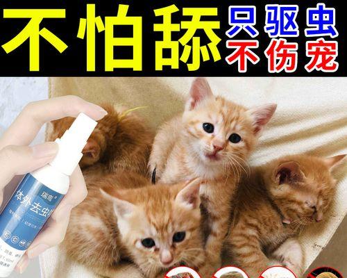 以猫体外体内驱虫为重点的宠物护理技巧（保护宠物健康）