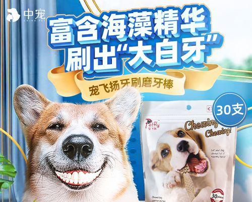 狗狗何时磨牙（宠物犬的口腔保健）