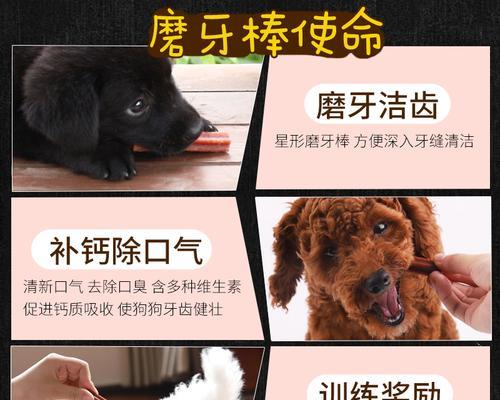 狗狗何时磨牙（宠物犬的口腔保健）