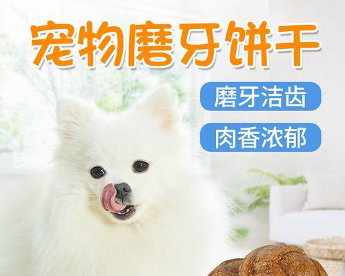 狗狗肾衰竭口臭的原因和预防方法（宠物爱好者必读）