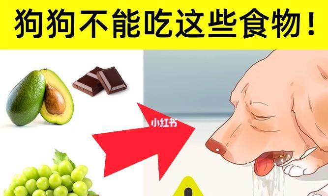 如何预防狗狗盐中毒（了解盐中毒的症状与治疗）