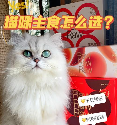 8个月大的猫应该吃什么样的猫粮（如何选择适合年龄的猫粮）