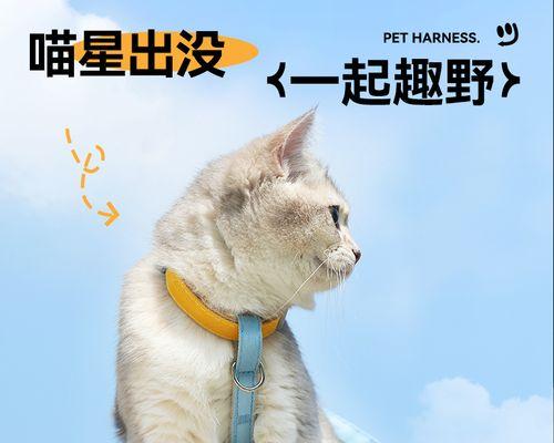 猫妈的教育之道（以猫妈会教小猫为例）