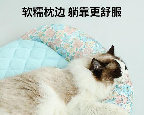 如何控制宠物猫的体重（猫咪胖了怎么办）