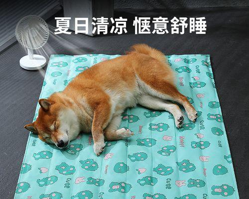 宠物猫的爪印——以猫挠的印迹为主题的探索