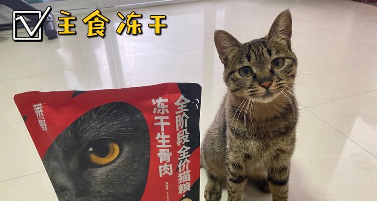 猫咪不吃生骨肉的重要性（从宠物健康和安全角度出发）