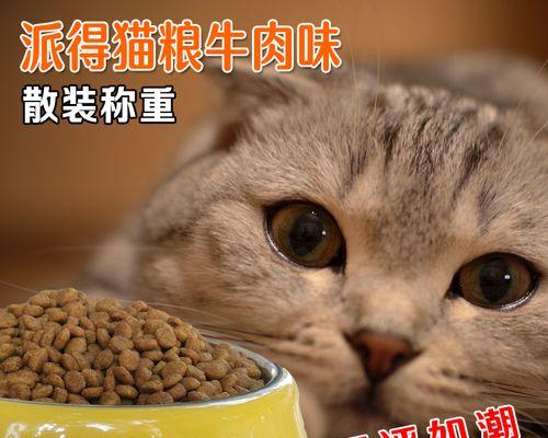 宠物猫的食量减少了，这是什么原因（宠物猫食量减少的表现）