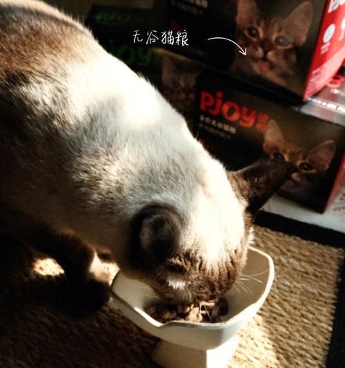 宠物猫为什么吃得那么快（探究猫咪的进食行为）