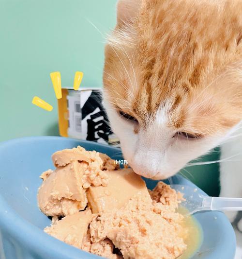 猫咪罐头饮食，（宠物的健康需求与罐头饮食选择）