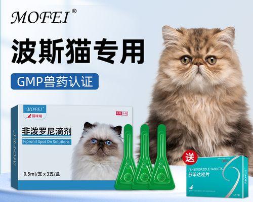 猫咪腹部炎症状，如何正确护理（宠物健康需要我们的关注）