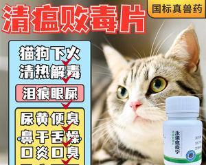 揭秘猫咪肝硬化的成因（探究肝硬化对宠物健康的影响及防治措施）